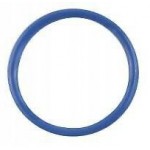 Уплотнительное кольцо крышки термостата BRP Can-Am/Ski-Doo