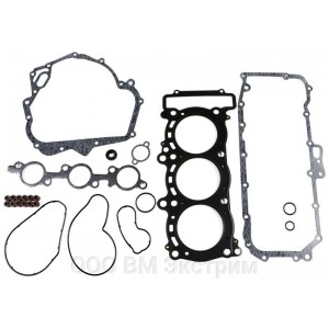Комплект прокладок полный с сальниками  для снегохода Yamaha Venture,VK10 