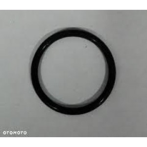 Кольцо уплотнительное стартера Outlander G1, G2