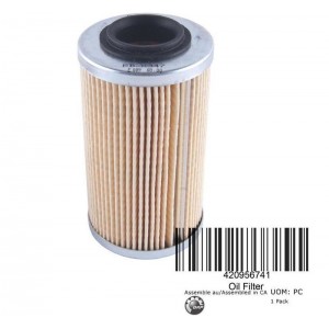 Фильтр масляный (картридж) BRP