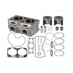 Комплект цилиндров с поршнями и прокладками Polaris 800 