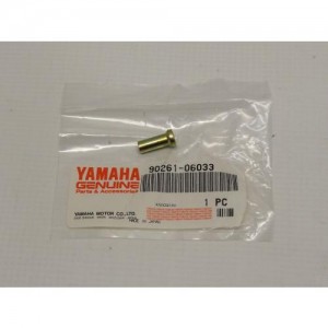 Заклепка грузика вариатора для снегохода  Yamaha Viking 540